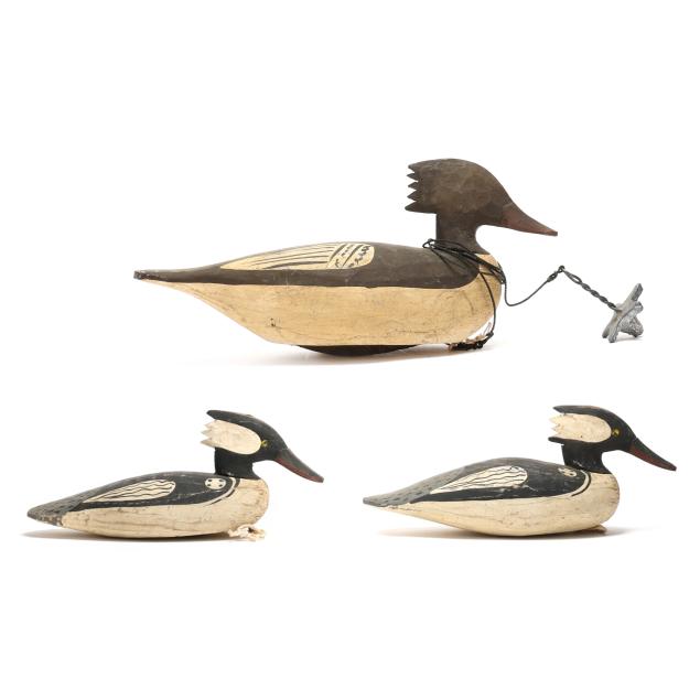 jimmy-bowden-va-three-mergansers