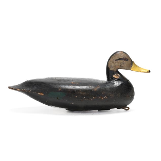 charles-birch-va-1867-1956-black-duck
