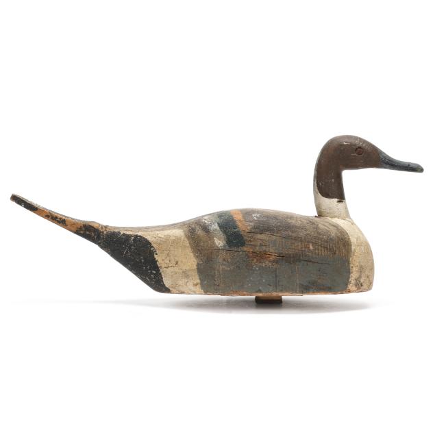 john-winter-ca-pintail