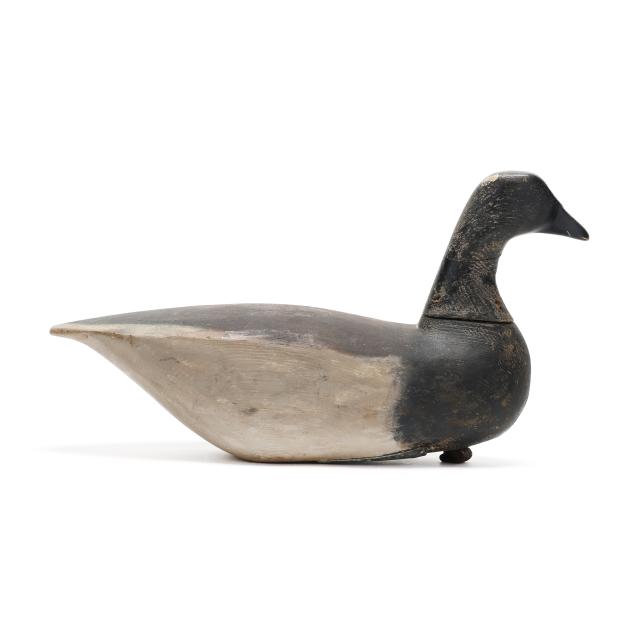 early-long-island-brant