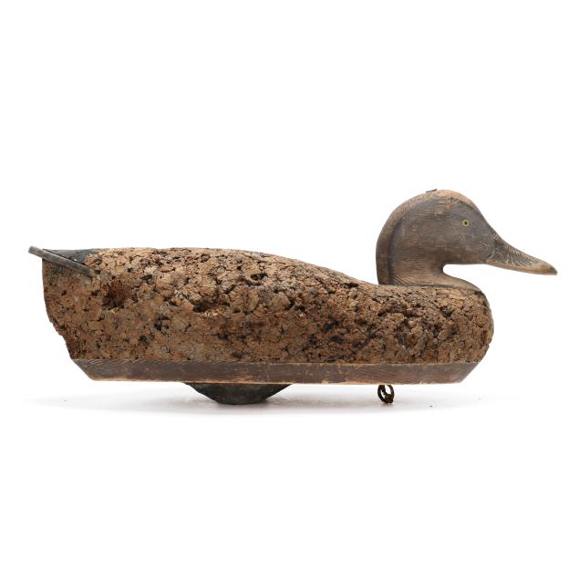 madison-mitchell-md-1901-1993-black-duck