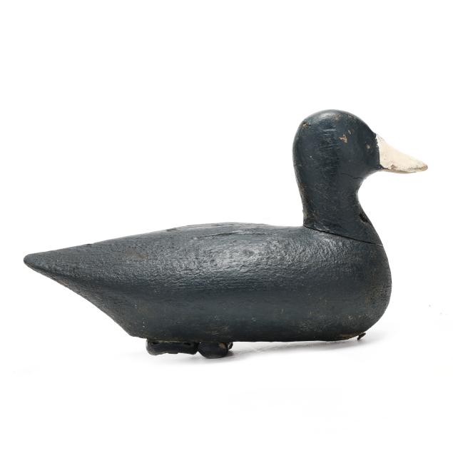 ned-burgess-nc-1868-1958-rare-published-beetle-head-coot