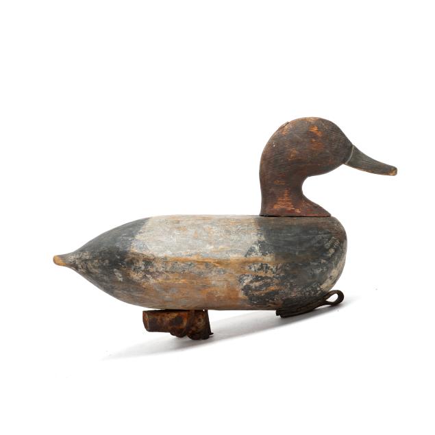 early-knotts-island-redhead