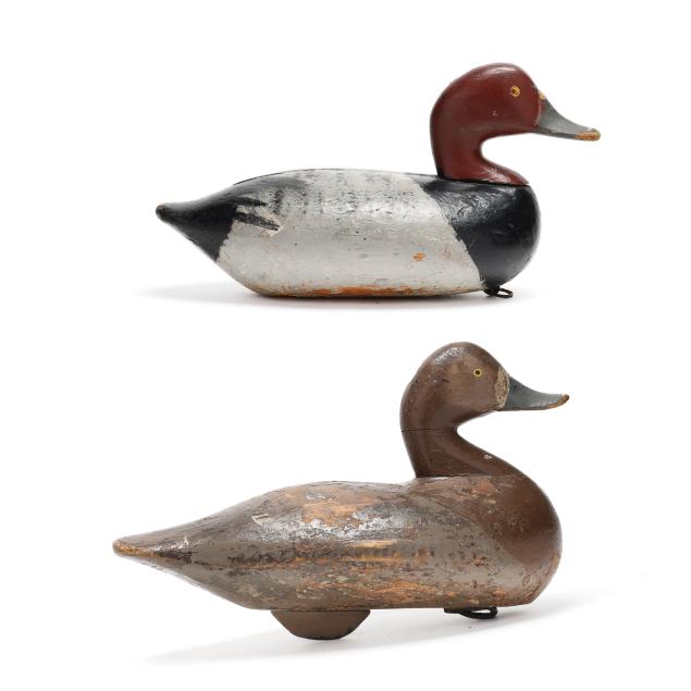 two-early-upper-bay-redheads