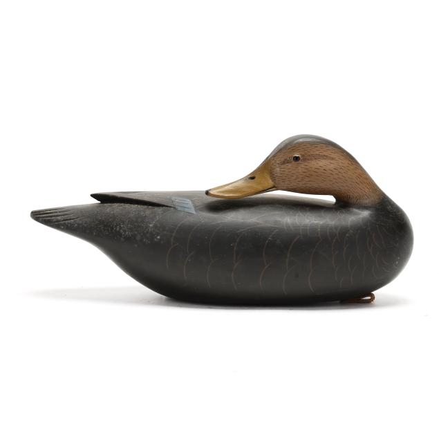 clarence-fennimore-nj-b-1935-sleeping-black-duck