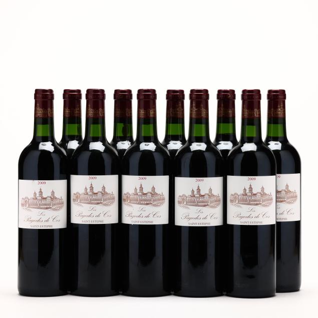 les-pagodes-de-cos-2009-st-estephe-10-bt