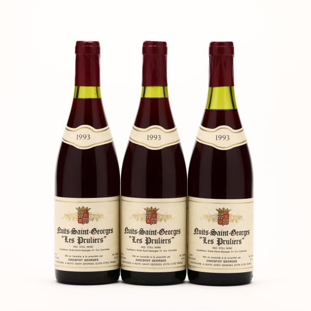 nuits-saint-georges-1993-premier-cru-les-pruliers-georges-3-bt