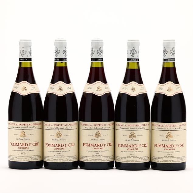 pommard-1993-premier-cru-chanlins-domaine-a-ropiteau-mignon-5-bt