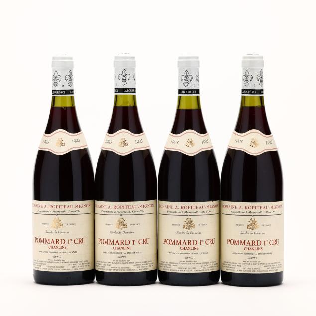 pommard-1993-premier-cru-chanlins-domaine-a-ropiteau-mignon-4-bt