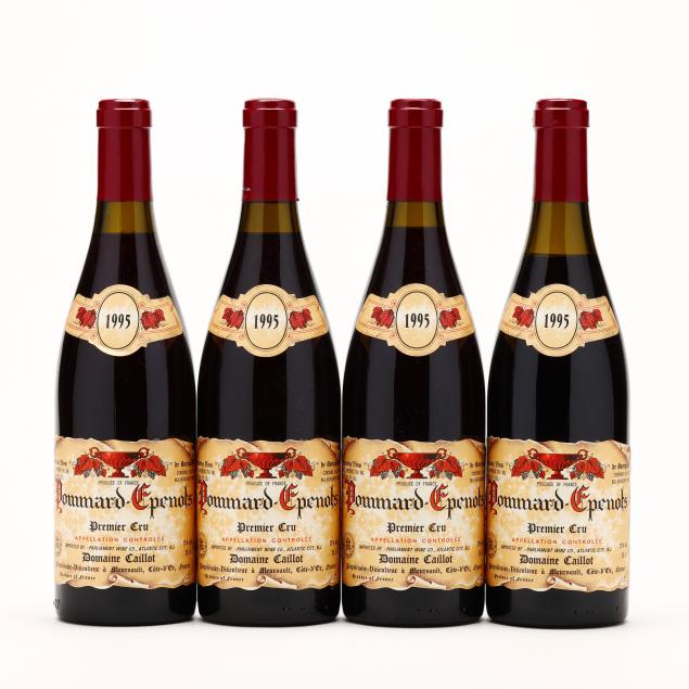 pommard-epenots-1995-premier-cru-domaine-caillot-4-bt
