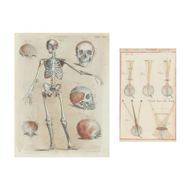 two-18th-century-hand-colored-medical-charts-from-english-publications