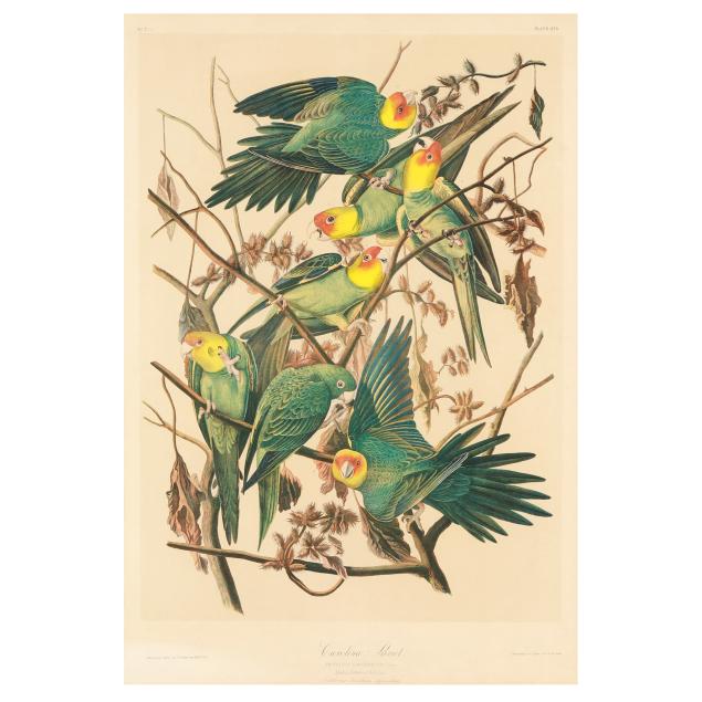 john-james-audubon-american-1785-1851-i-carolina-parrot-i-bien-edition