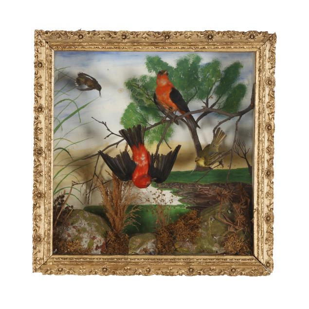 antique-bird-diorama-in-shadow-box