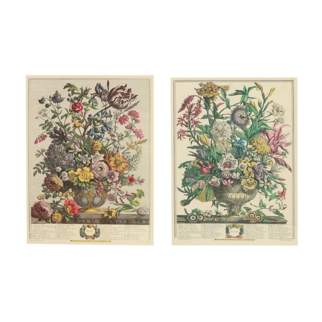 henry-fletcher-english-fl-1710-1750-pair-of-botanical-engravings-from-i-twelve-months-of-flowers-i