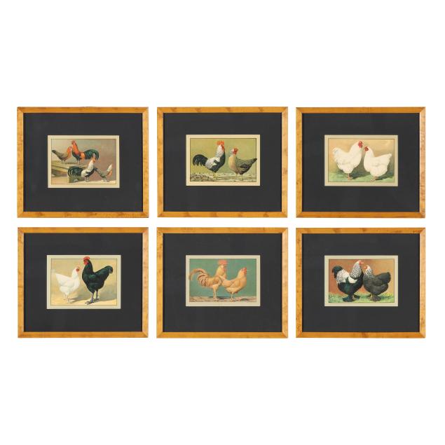 set-of-six-prints-from-rudolf-kramer-s-i-pocketbook-of-purebred-poultry-breeding-i