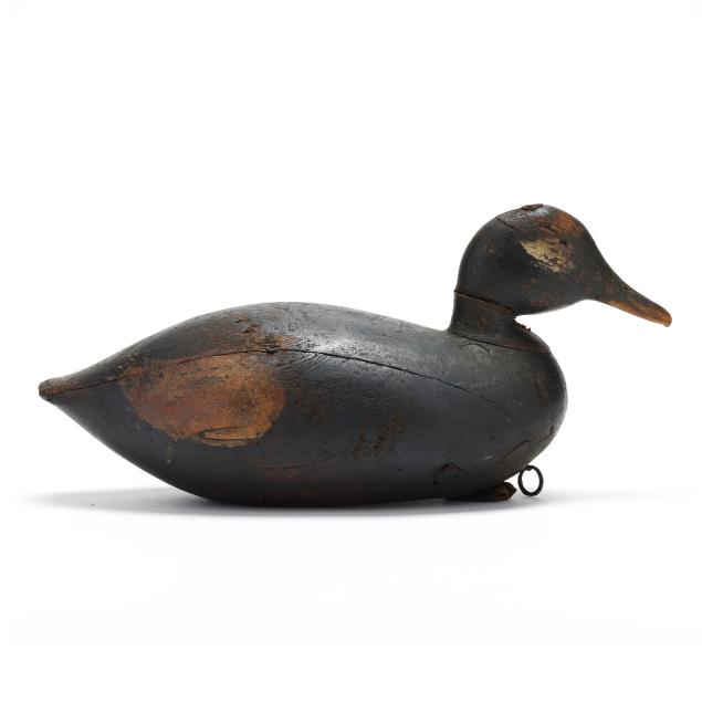 joe-lincoln-ma-1859-1938-white-winged-scoter