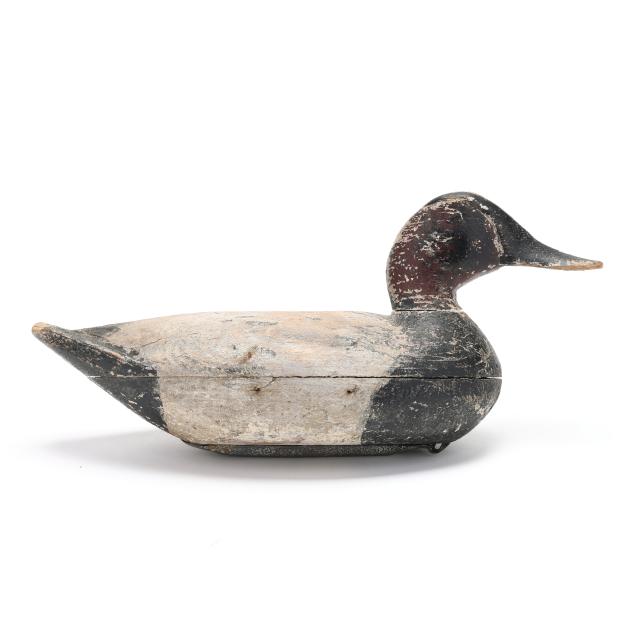 early-illinois-river-canvasback