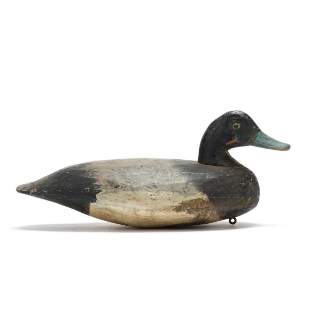 doug-jester-va-1876-1961-bluebill