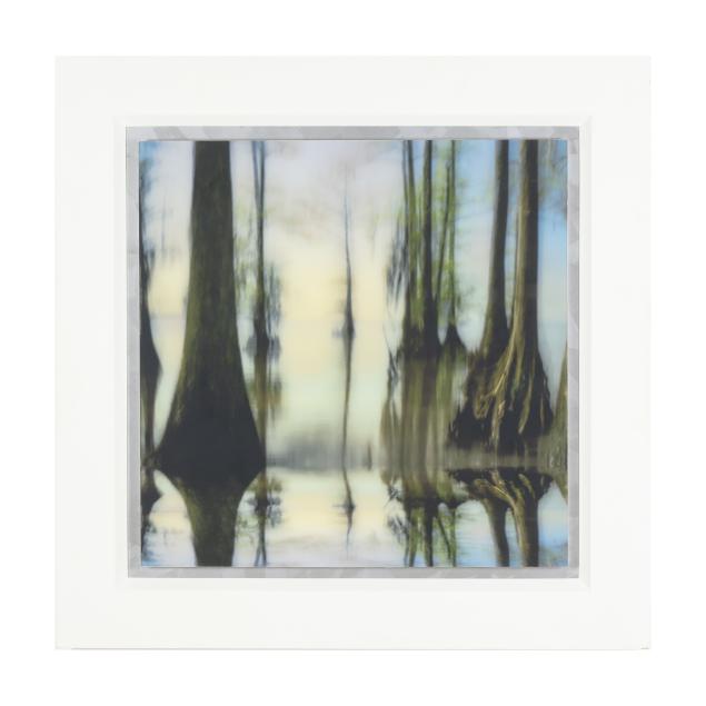 dan-gottlieb-nc-i-cypress-grove-with-horizon-albemarle-sound-i