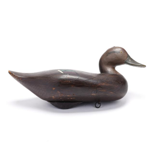 madison-mitchell-md-1901-1993-black-duck