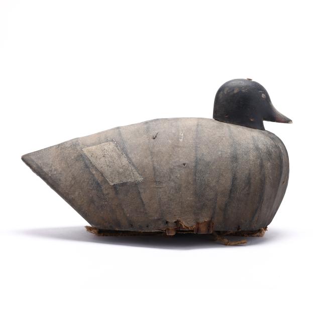 bert-hunt-ma-white-winged-scoter