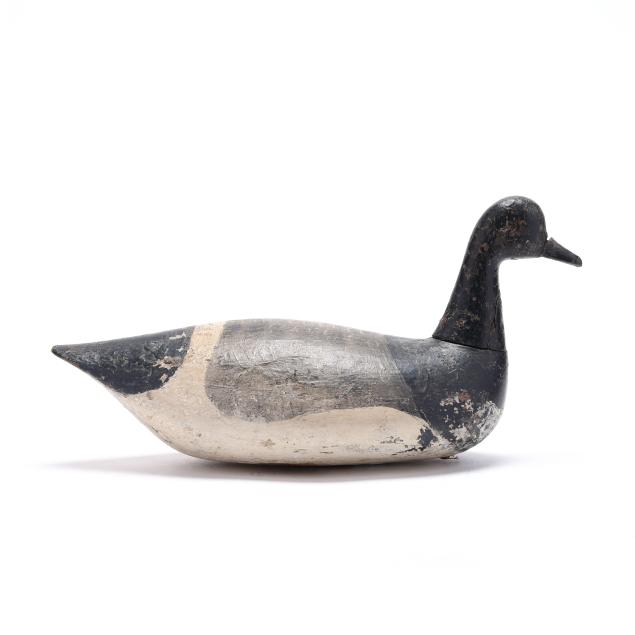 early-long-island-brant