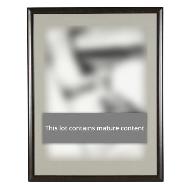 andy-warhol-american-1928-1987-i-sex-parts-fs-ii-172-i