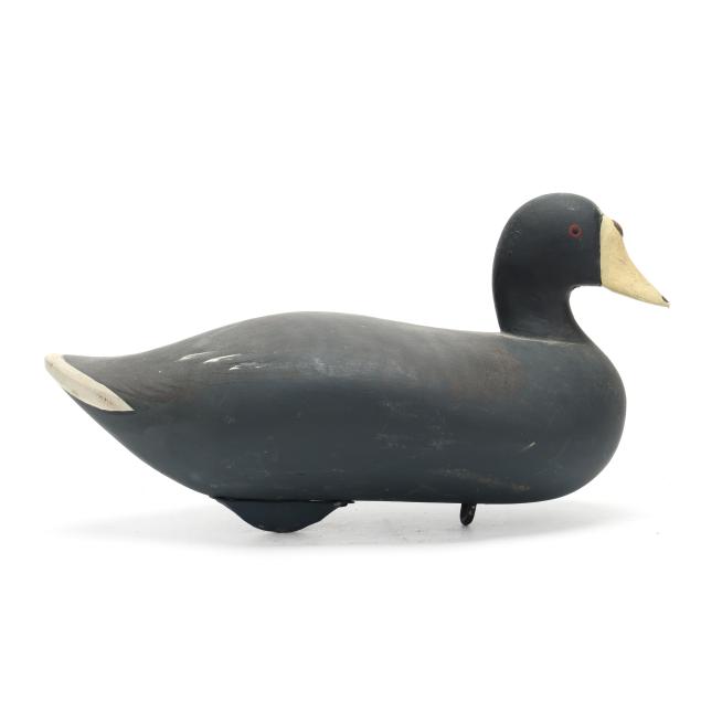 madison-mitchell-md-1901-1993-coot