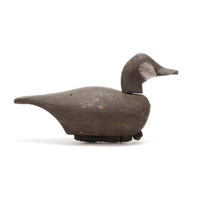 fred-waterfield-1923-1984-ruddy-duck