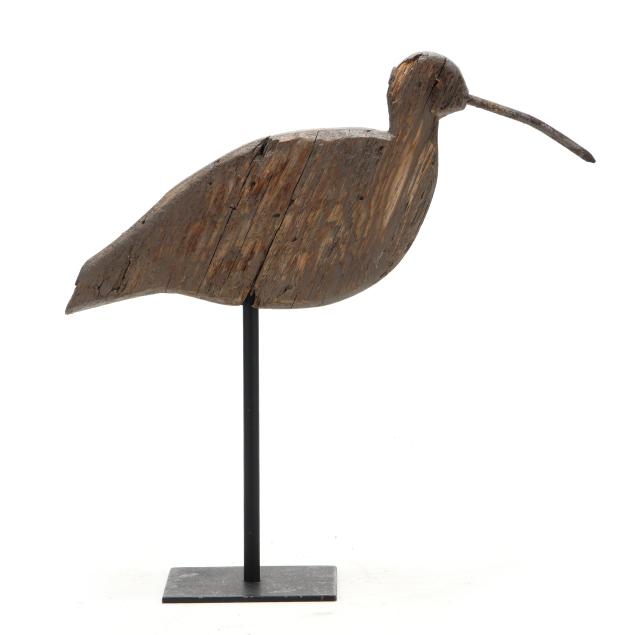 early-carteret-county-curlew