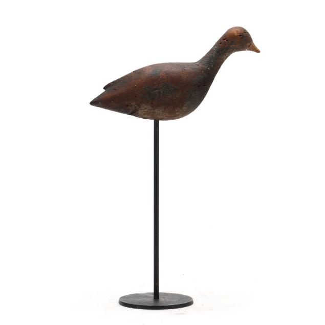 published-early-dare-county-yellowlegs