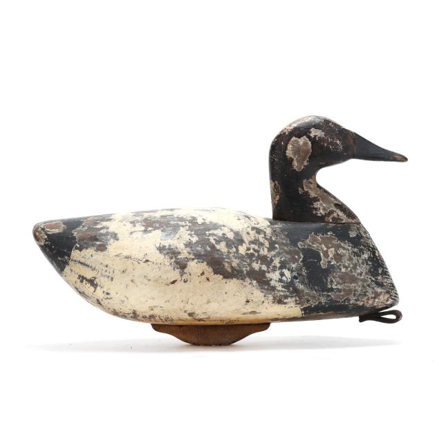 early-white-family-currituck-canvasback