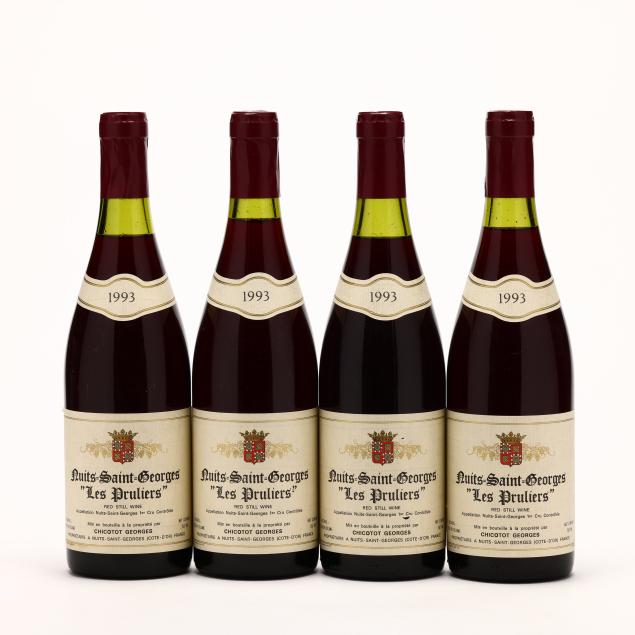 nuits-saint-georges-1993-premier-cru-les-pruliers-georges-4-bt