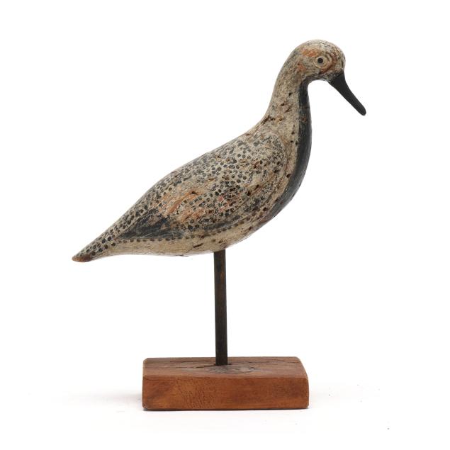 early-long-island-black-bellied-plover