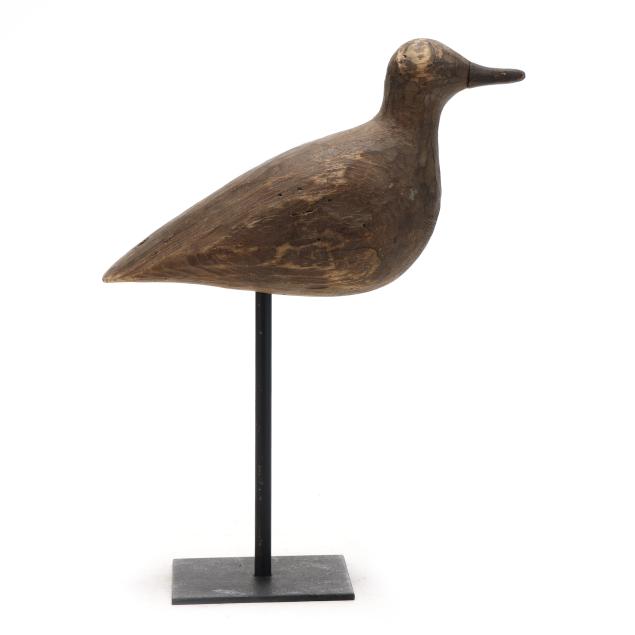 early-wachapreague-plover