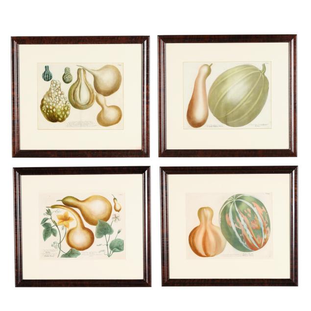 johann-wilhelm-weinmann-german-1683-1741-four-framed-gourd-plates-from-i-phytanthoza-iconographia-i