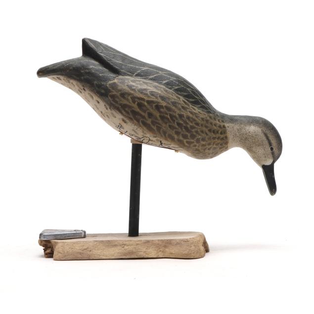 duane-ganser-oh-feeding-teal-on-stand
