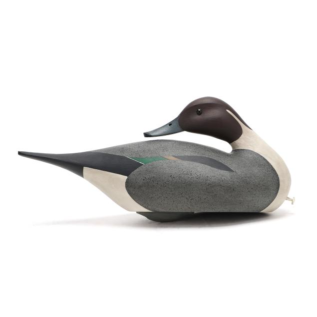 robbie-robertson-nc-preening-pintail