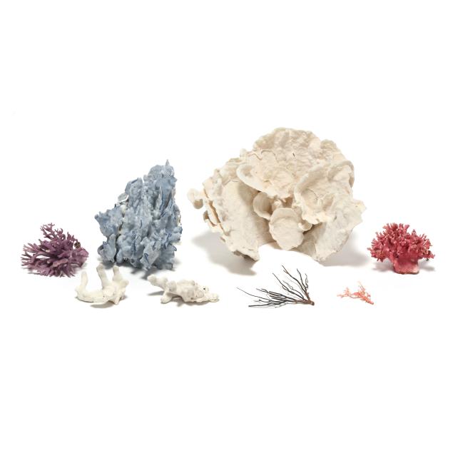 a-group-of-assorted-coral-specimens