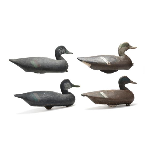 four-early-churches-island-puddle-ducks