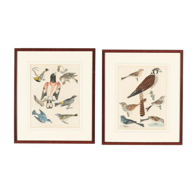 alexander-wilson-scottish-american-1766-1813-pair-of-ornithological-engravings