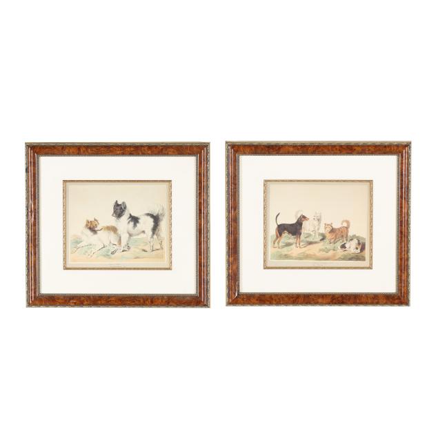 pair-of-prints-after-antique-french-watercolors-of-dogs