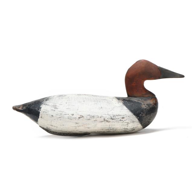 unknown-upper-bay-canvasback
