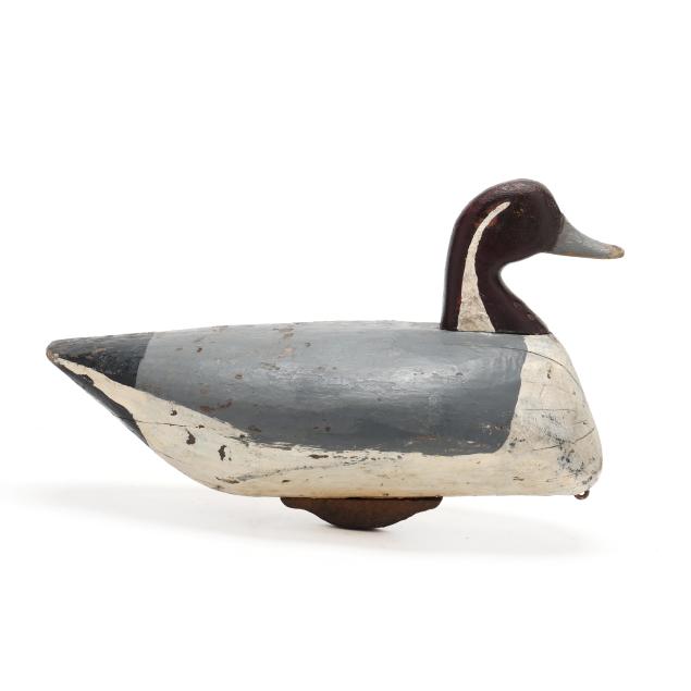 wallace-o-neal-sr-nc-1867-1955-pintail