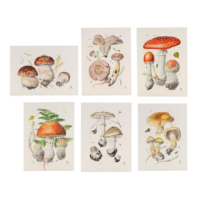 alexander-sasha-viazmensky-russian-b-1946-six-original-botanical-watercolors-of-mushrooms