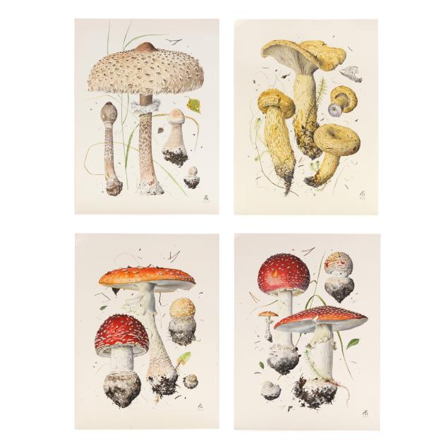 alexander-sasha-viazmensky-russian-b-1946-four-original-botanical-watercolors-of-mushrooms