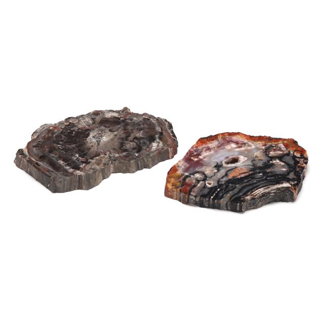 two-slabs-of-petrified-wood