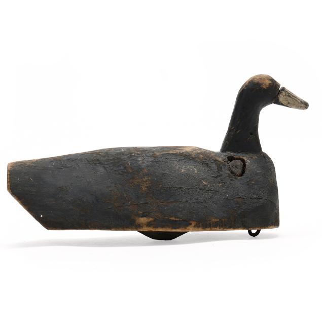 ike-aydlett-nc-1885-1979-swimming-coot