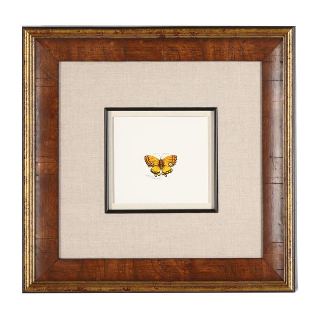 bob-timberlake-nc-b-1937-i-yellow-butterfly-i