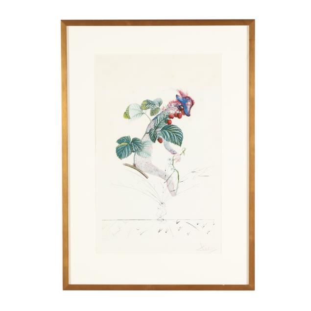 salvador-dali-spanish-1904-1989-i-framboisier-raspberry-i